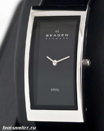 Часы-Skagen-Описание-особенности-отзывы-и-цена-часов-Skagen-9.jpg