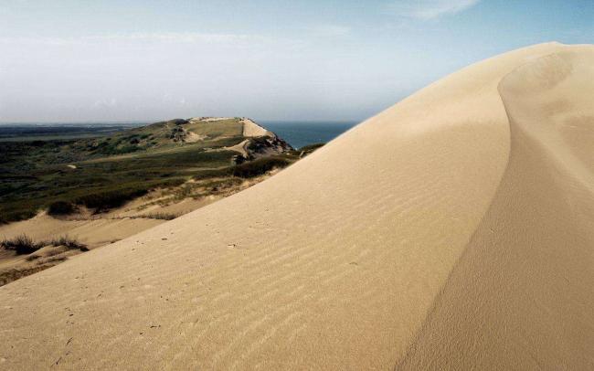Песчаная-дюна-Rabjerg-Mile.jpg