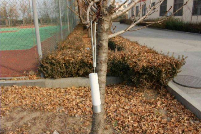 SHnurok-zashhita-fonarika-ot-sluchajnogo-padeniya-na-zemlyu-1.jpg
