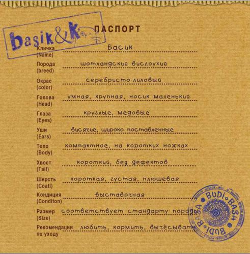kot-basik-passport.png