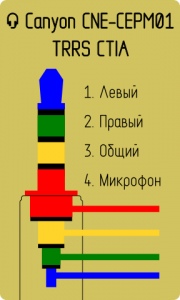 Canyon-CNE-CEPM01-180x300.png