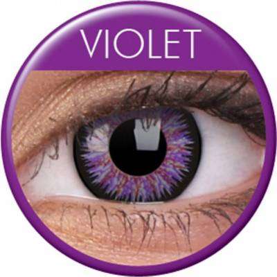 lentilles-violet.jpg