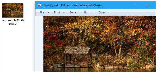 ximg_5aa2ff9e3b5aa.jpg.pagespeed.gp+jp+jw+pj+ws+js+rj+rp+rw+ri+cp+md.ic.QyIkJdkq-6.jpg