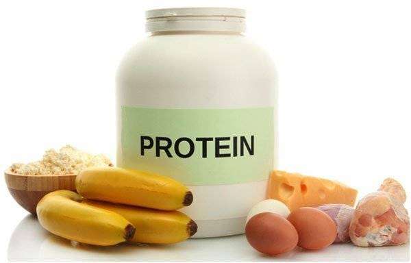 protein-primenenie.jpg