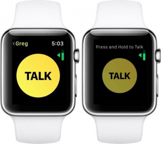 zapis-soobscheniya-v-walkie_talkie-na-apple-watch-e1541625471890.jpeg