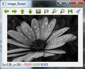 image_flower.jpg
