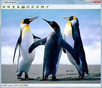 penguine.jpg