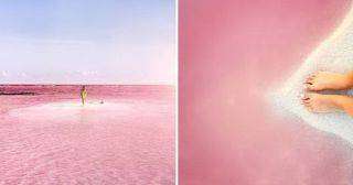 Мексиканская лагуна – розовый сон наяву