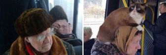 25_passazhirov_trolleybusov_kotorye_nachudili_po_maksimumu_popav_v_internet.jpeg