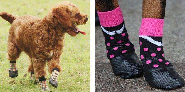 socks_1518695313-630x315.jpg