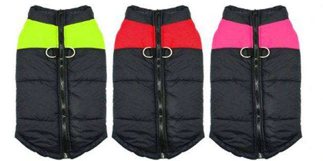 waist2_1518763069-630x315.jpg
