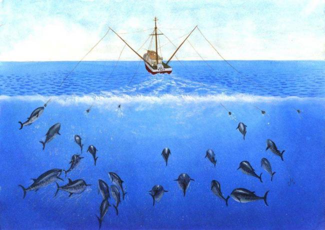 trolling-fishing-1024x725.jpg