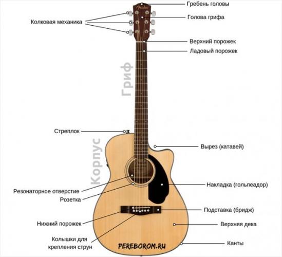 shema-stroeniya-gitary.png