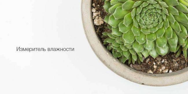 2019-07-universalnyj-analizator-pochvy-i-osveshhennosti-xiaomi-smart-flower-monitor-7.jpg