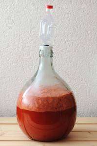 Strawberry_wine_fermentation-199x300.jpg