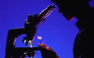 Простейшие опыты с микроскопом — первые шаги