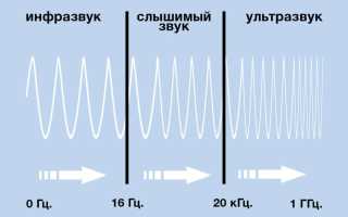 Отличия звуковой и ультразвуковой зубной щетки: какую выбрать, правила использования