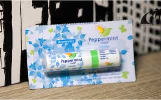 Ингалятор для носа Peppermint Field (Пепперминт Филд) 2 в 1