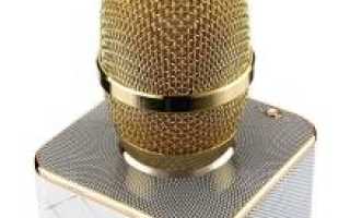 Выбор караоке с микрофоном для дома: стоит ли покупать, обзор лучших моделей