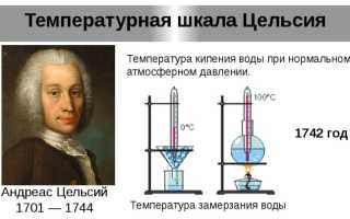 История создания термометров. Виды современных приборов для измерения температуры