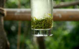 Чай БиЛоЧунь: полезные свойства и заваривание