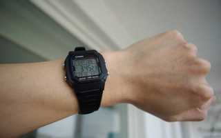Обзор спортивных часов  Casio W-800HG-9A