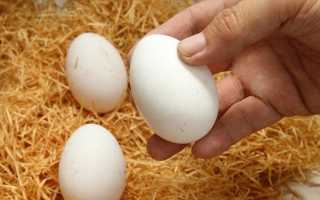 Как быстро почистить яйца, вложившись в несколько секунд?