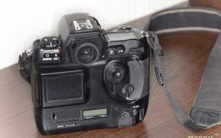 Nikon D1 — зеркальная фотокамера за 83$ или дешевый входной билет в мир зеркальных камер.