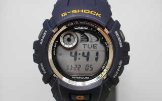 Доступная классика — часы G-SHOCK G-2900F-8V