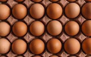 Какие бывают яйца: категории, виды, особенности упаковки
