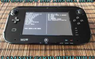 Актуальность взлома Nintendo Wii. Бесплатные игры и приложения