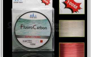10 лучших производителей флюрокарбоновой лески с АлиЭкспресс