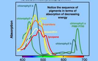 Диоды с полным спектром для растений — смотрим спектр