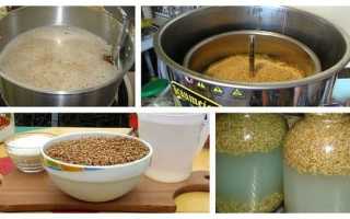 Зерновая брага для самогона из пшеницы ячменя или ржи без дрожжей — правильный рецепт браги.
